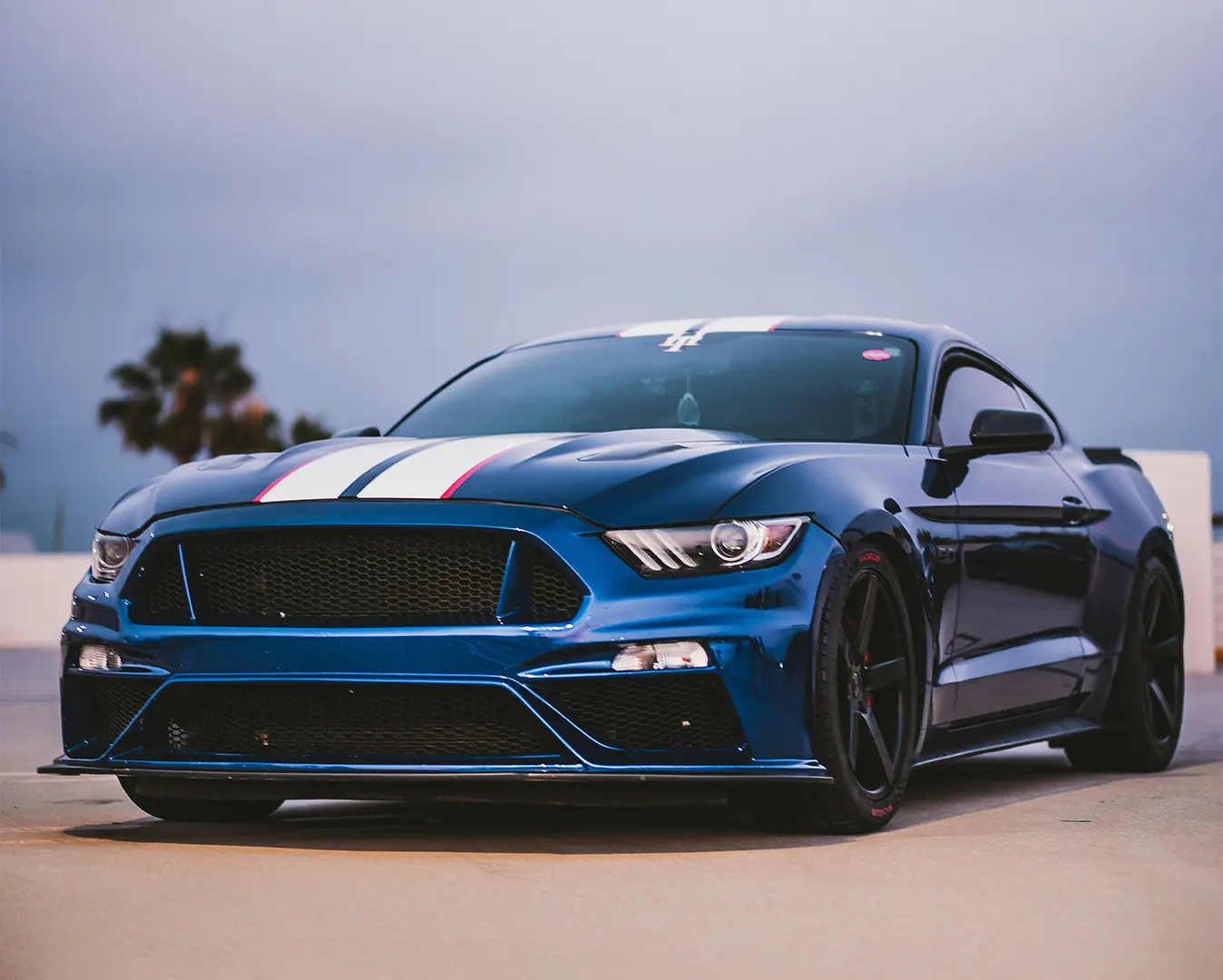 guillermo-casales-p3Mfa-qIabI-unsplash